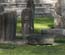 Tikal Monuments and Stela